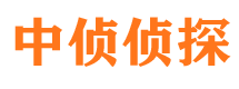 特克斯市侦探调查公司